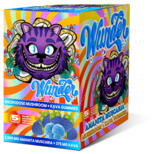 WUNDER AMANITA MUSCARIA ​GUMMIES BLUE RAZZ 2500MG BOX